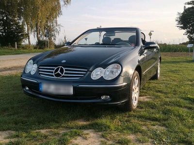 gebraucht Mercedes CLK200 Kompressor Elegance Cabrio