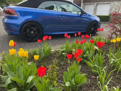 Gebraucht VW Golf Cabriolet R 265 PS (194 kW) 2014 Blau Cabrio