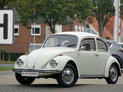 gebraucht VW Käfer 1200 L H-Kennzeichen Gepflegt