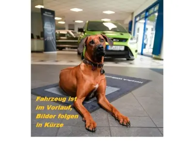 Gebraucht Opel Crossland X