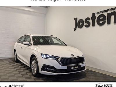 Usata Skoda Octavia Ambition 116 CV (85 kW) 2023 Bianco Station wagon