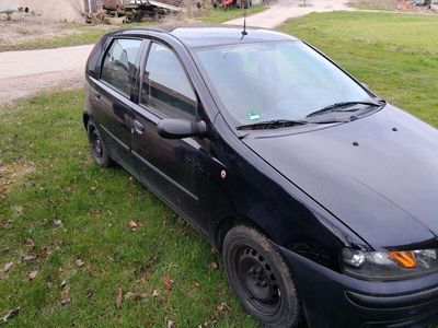 gebraucht Fiat Punto 