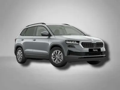 Używany Skoda Karoq