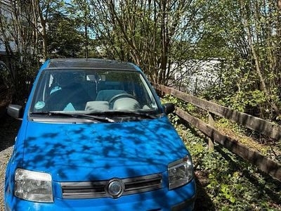 Usata Fiat Panda 70 CV (51 kW) 2004 Blu Utilitaria