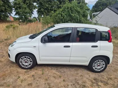 Gebraucht Fiat Panda Easy 69 PS (50 kW) 2016 Weiß Kleinwagen