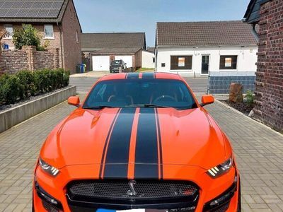 gebraucht Ford Mustang GT Shelby 500/LPG