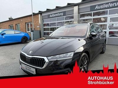 Gebraucht Skoda Octavia First Edition 150 PS (110 kW) 2020 Black magic pearlescent Kombi