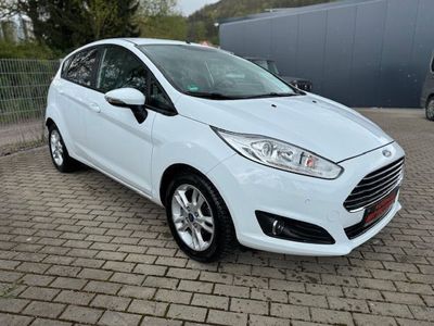 gebraucht Ford Fiesta 1.0 EcoBoost Start-Stop Trend Allwetterr.