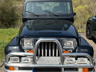 Gebraucht Jeep Wrangler 180 PS (132 kW) 1993 Schwarz SUV