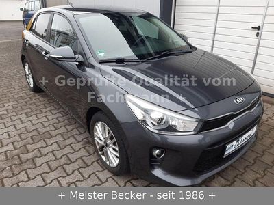 Grau Gebraucht 2019 Kia Rio DREAM-TEAM Edition Limousine | 10.999 € (Fairer Preis)