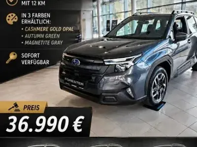 Neu Subaru Forester Trend 136 PS (100 kW) 2026 Grau SUV