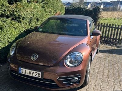 VW Beetle