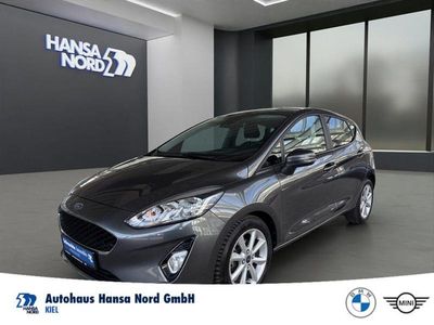 Usata Ford Fiesta Cool & Connect 101 CV (74 kW) 2019 Grigio Utilitaria