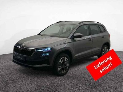 Graphitegrau metallic Neu 2025 Skoda Karoq SUV | 38.990 € (Etwas zu teuer)