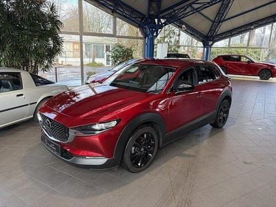 Gebraucht Mazda CX-30 Homura-Line 150 PS (110 kW) 2024 Soul red crystal m SUV