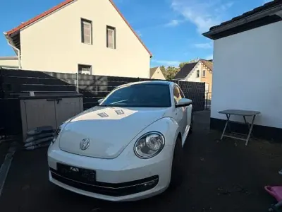 Gebraucht VW Beetle
