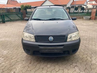 gebraucht Fiat Punto 