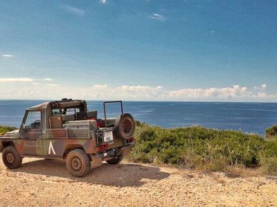 Gebraucht Mercedes G230 116 PS (85 kW) 1991 SUV