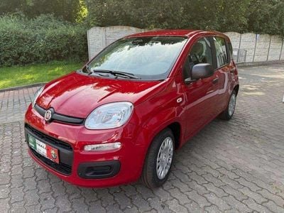 Neu Fiat Panda 69 PS (50 kW) 2025 Rot Kleinwagen