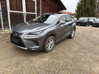 Gebraucht Lexus NX300 155 PS (114 kW) 2021 Mercury grey SUV