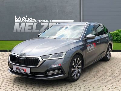 Gebraucht Skoda Octavia Style 150 PS (110 kW) 2023 Grau (graphite grau) Kombi