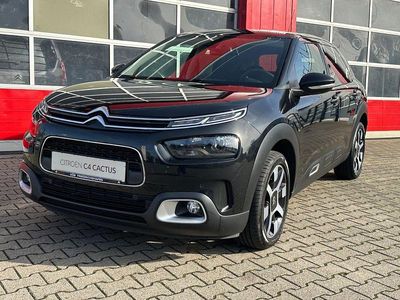 Gebraucht Citroën C4 Shine 131 PS (96 kW) 2019 Schwarz Limousine