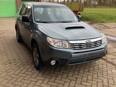 gebraucht Subaru Forester 2,0 AWD Klima Euro 5 Alu Ahk 6. Gang