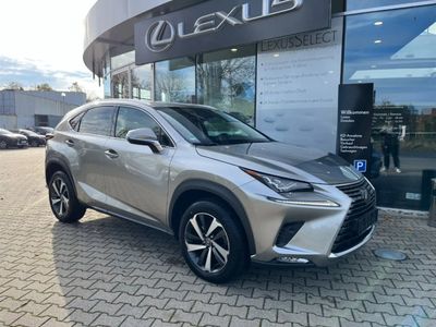 gebraucht Lexus NX300 200t Luxury Line HUD 4xSHZ Leder DAB