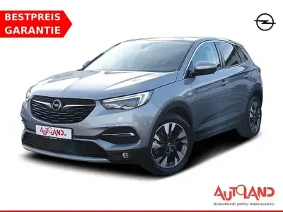 Gebraucht Opel Grandland X 131 PS (96 kW) 2020 Grau SUV