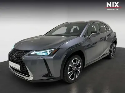 Gebraucht Lexus UX 250h