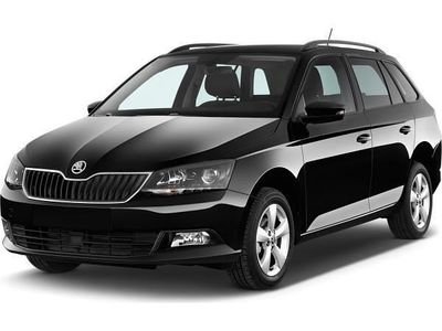 Schwarz (schwarzmagic perleffekt) Neu 2025 Skoda Fabia Tour Kleinwagen | 22.500 € (Etwas zu teuer)
