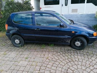 VW Polo
