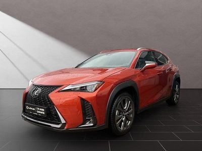 Gebraucht Lexus UX 250h Sport Line 184 PS (135 kW) 2023 Orange SUV