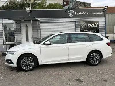 Usata Skoda Octavia Ambition 150 CV (110 kW) 2023 Bianco Station wagon