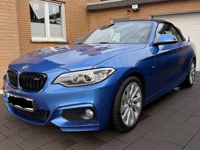 Blau Gebraucht 2015 BMW 220 M Sport Cabrio | 19.200 € (Fairer Preis)