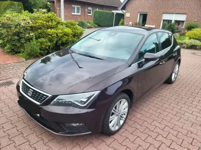 Gebraucht Seat Leon XCELLENCE 125 PS (91 kW) 2017 Violet Limousine