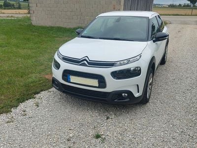 Gebraucht Citroën C4 Cactus Feel 131 PS (96 kW) 2019 Weiß Kleinwagen