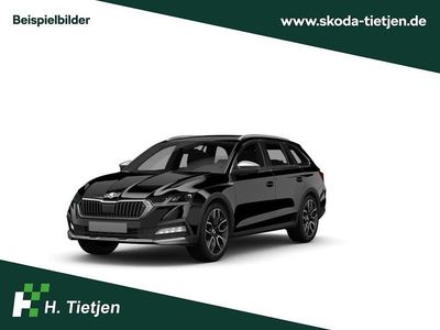 Neu Skoda Octavia 150 PS (110 kW) 2026 Schwarz Kombi
