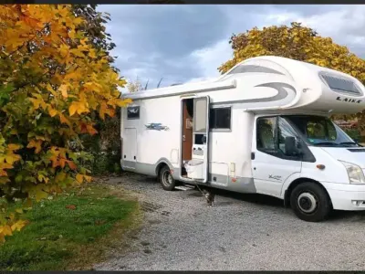 Gebraucht Ford Transit 140 PS (102 kW) 2009 Weiß Van