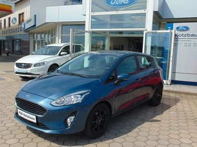 Gebraucht Ford Fiesta Cool & Connect 101 PS (74 kW) 2020 Blau Kleinwagen
