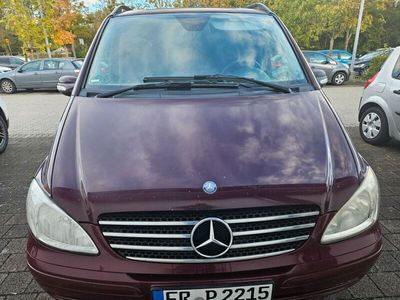 Mercedes Viano