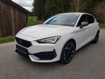 Usata Cupra Leon Basis 150 CV (110 kW) 2023 Bianco Berlina