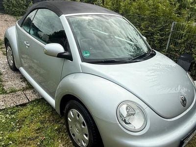 VW Beetle