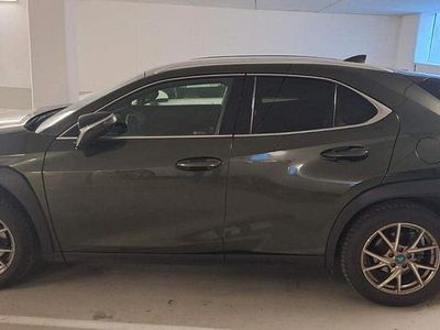 Gebraucht Lexus UX 250h Executive Line 199 PS (146 kW) 2024 Grün SUV