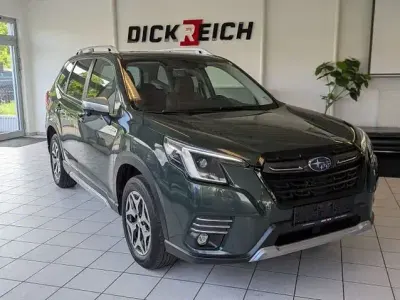 Gebraucht Subaru Forester Platinum 150 PS (110 kW) 2023 Grün SUV