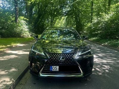 Lexus UX 250h