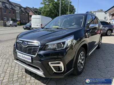Gebraucht Subaru Forester