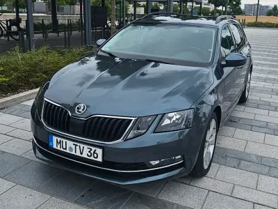 Gebraucht Skoda Octavia 116 PS (85 kW) 2017 Grau Limousine