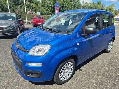 Nouă Fiat Panda 69 CP (50 kW) 2025 Albastru Hatchback