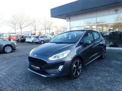 Usata Ford Fiesta Active 101 CV (74 kW) 2019 Grigio Utilitaria